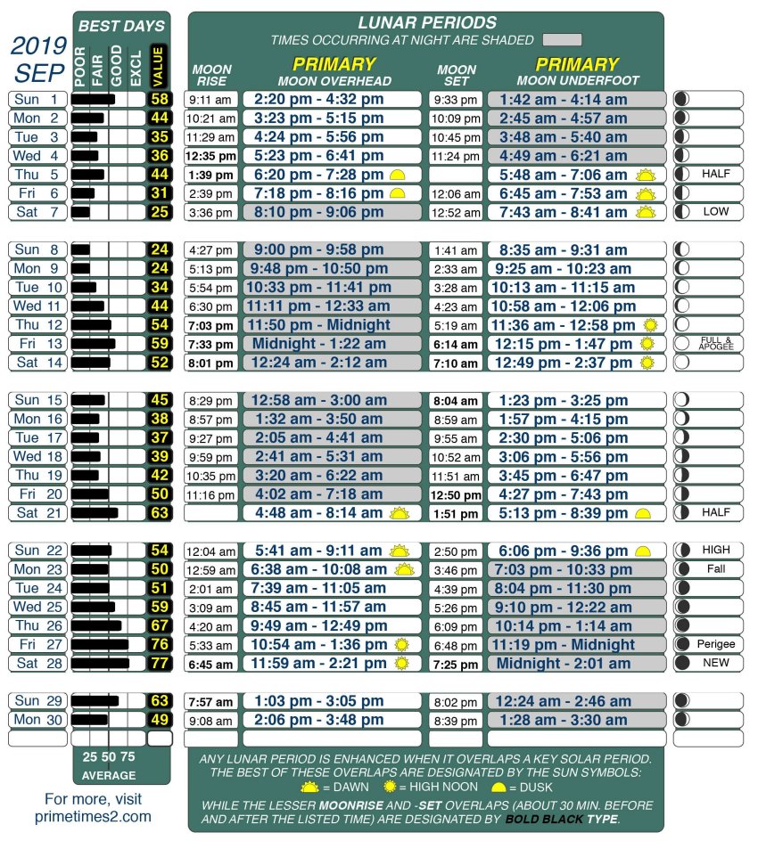 Best Fishing Times